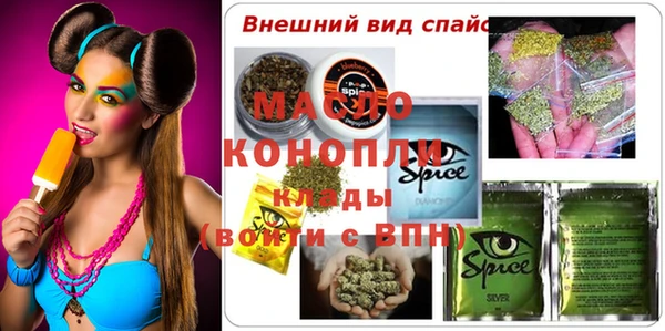 прущий лед Дмитриев