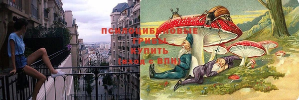 кокс Дмитров