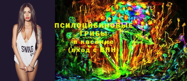прущий лед Дмитриев