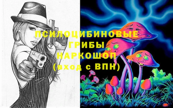 прущий лед Дмитриев