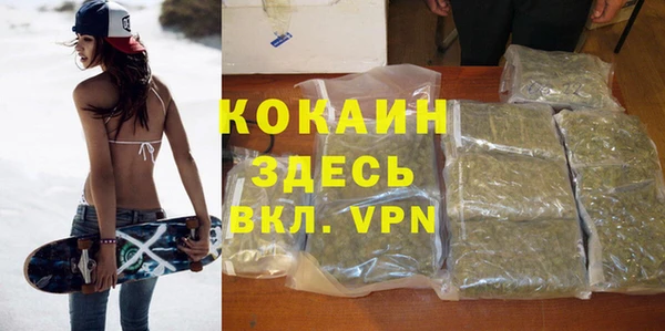 прущий лед Дмитриев