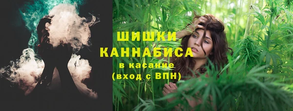 прущий лед Дмитриев