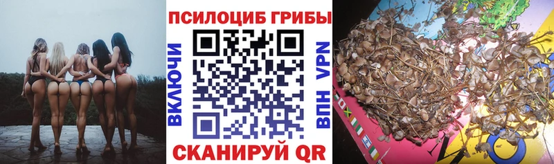 Галлюциногенные грибы MAGIC MUSHROOMS Купить закладки Олонец
